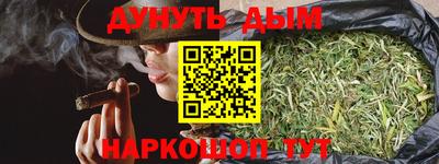 соль ск Новозыбков