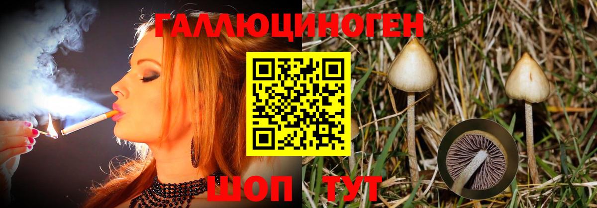 Галлюциногенные грибы Psilocybine cubensis  Вход с VPN  Троицк 